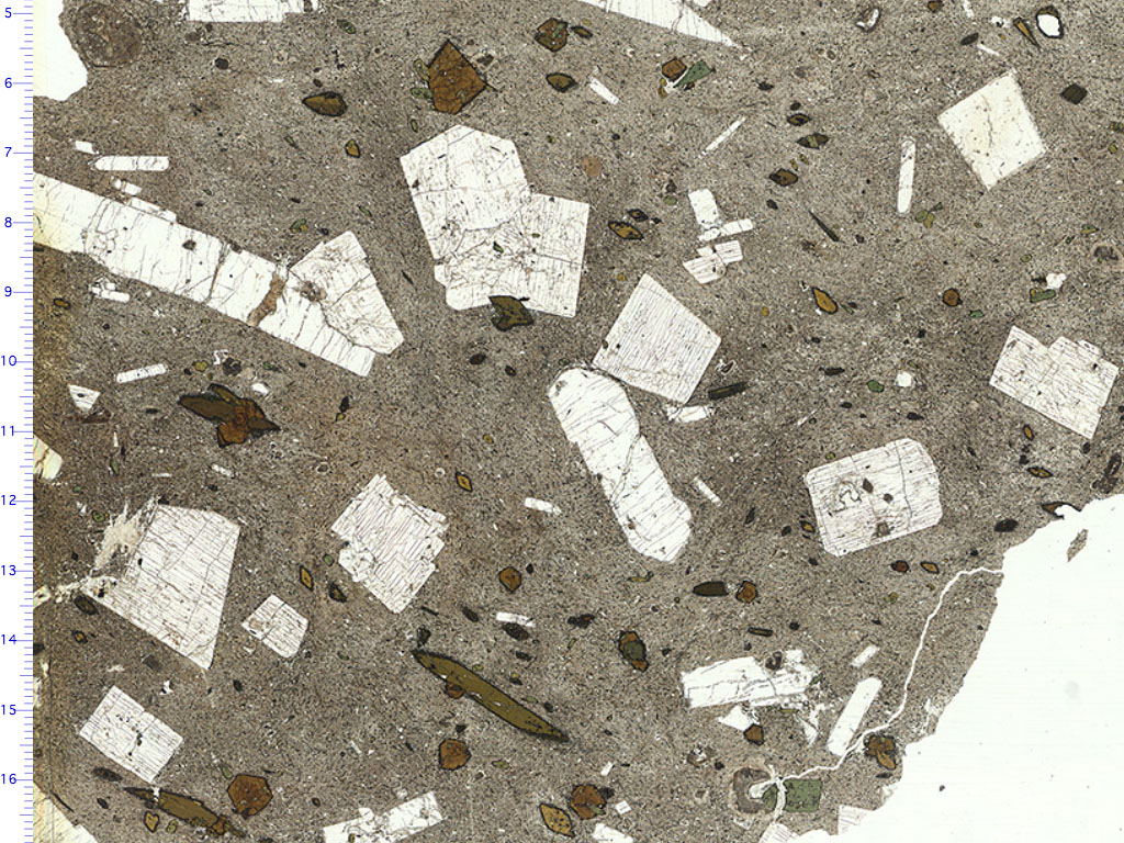 Phonolite Thin Section