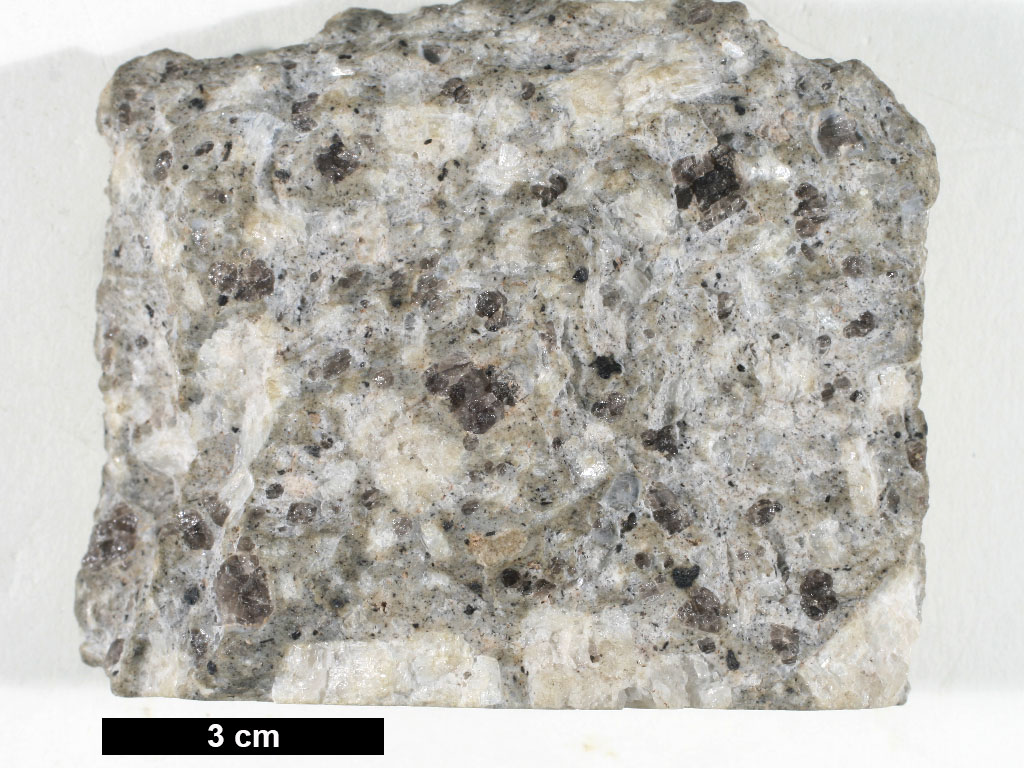 Rhyolite Hand Sample