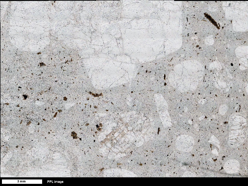 Rhyolite Thin Section