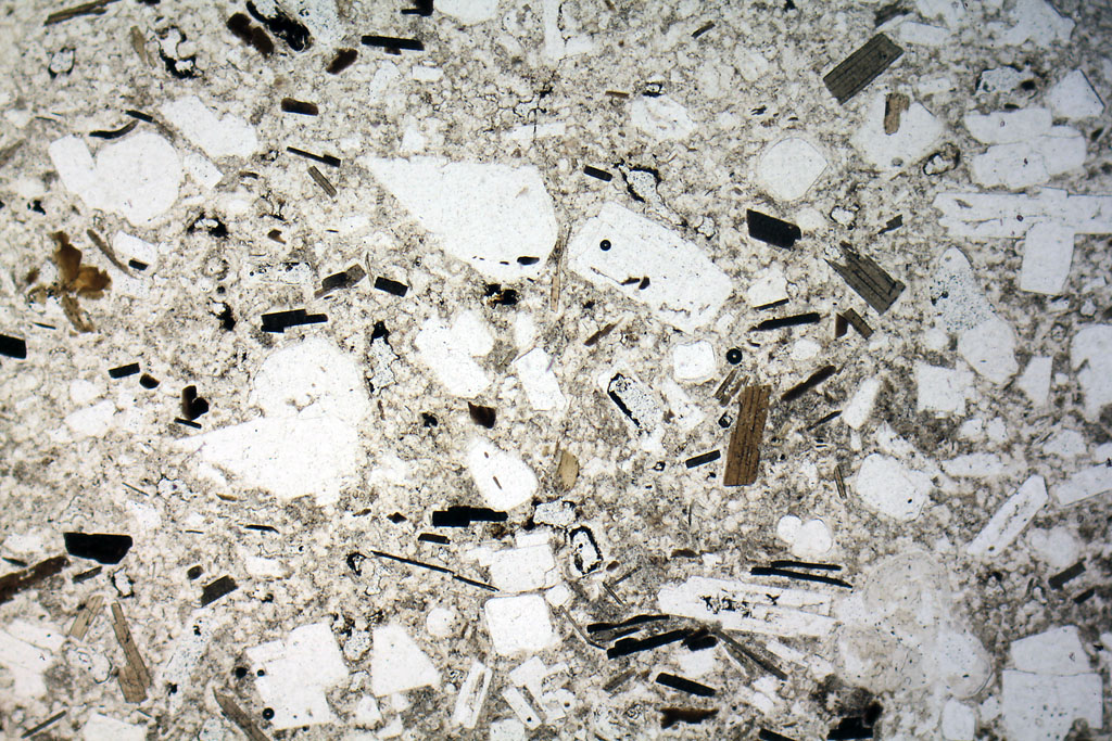 Rhyolite Thin Section