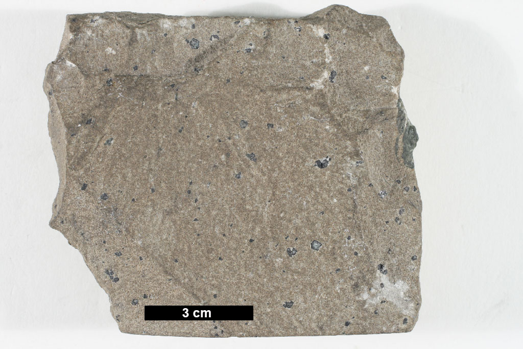 Tephritic Phonolite Hand Sample