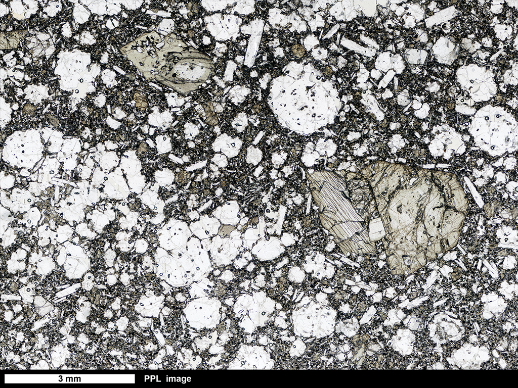 Tephrite Thin Section