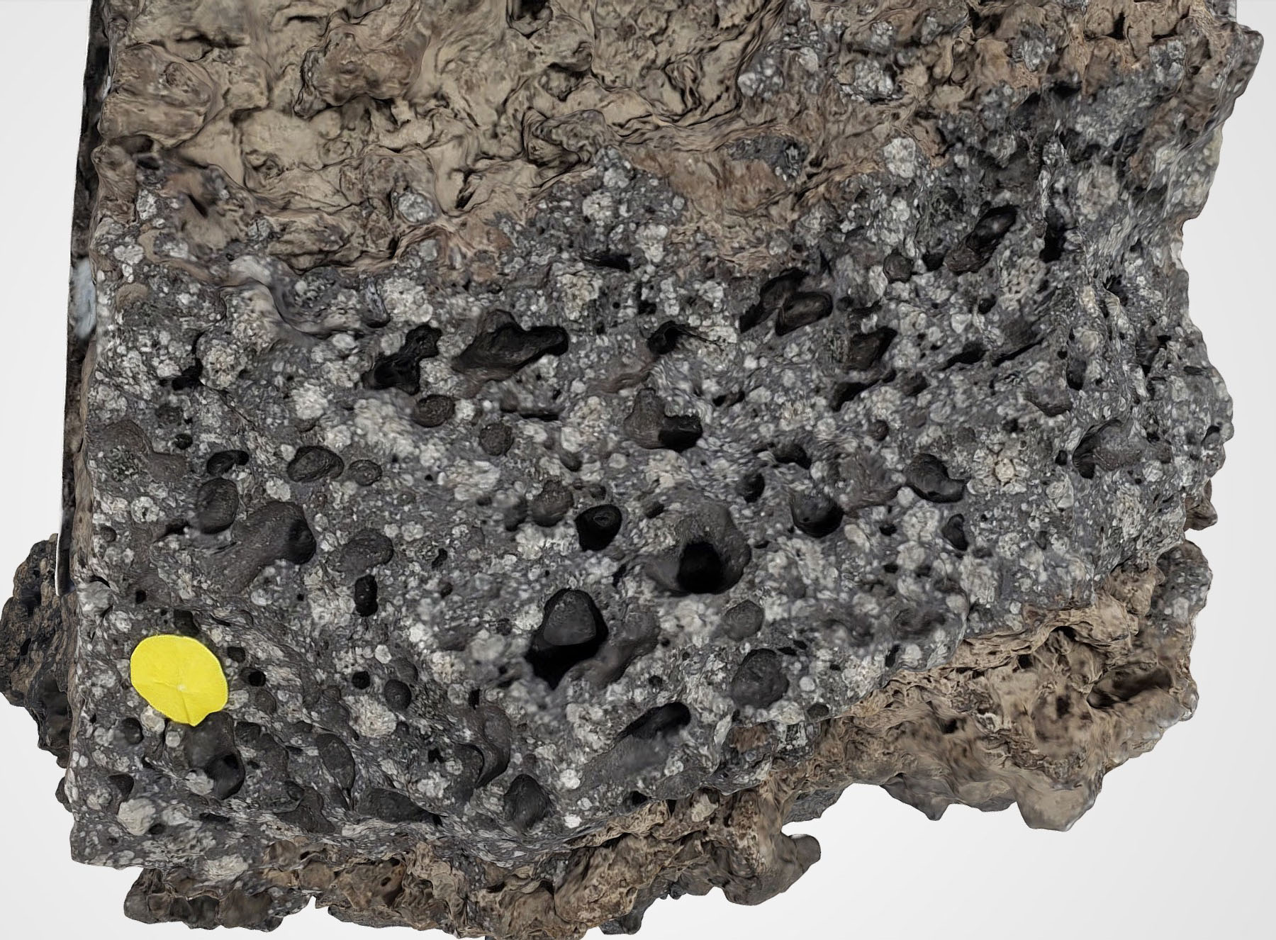 Tephrite Hand Sample