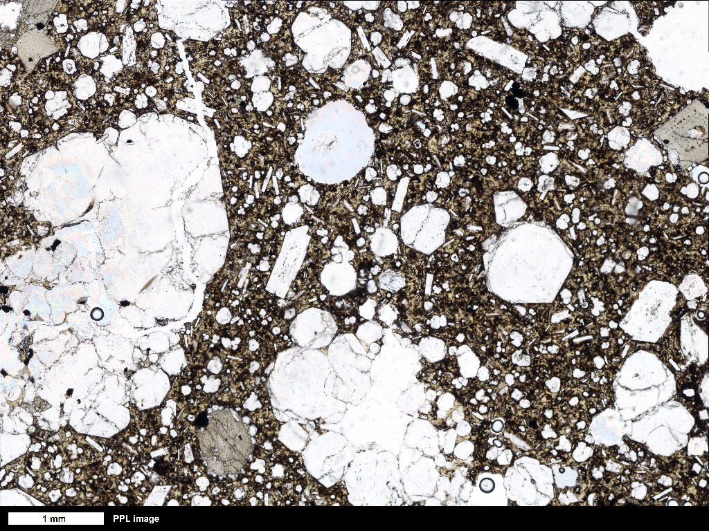 Tephrite Thin Section