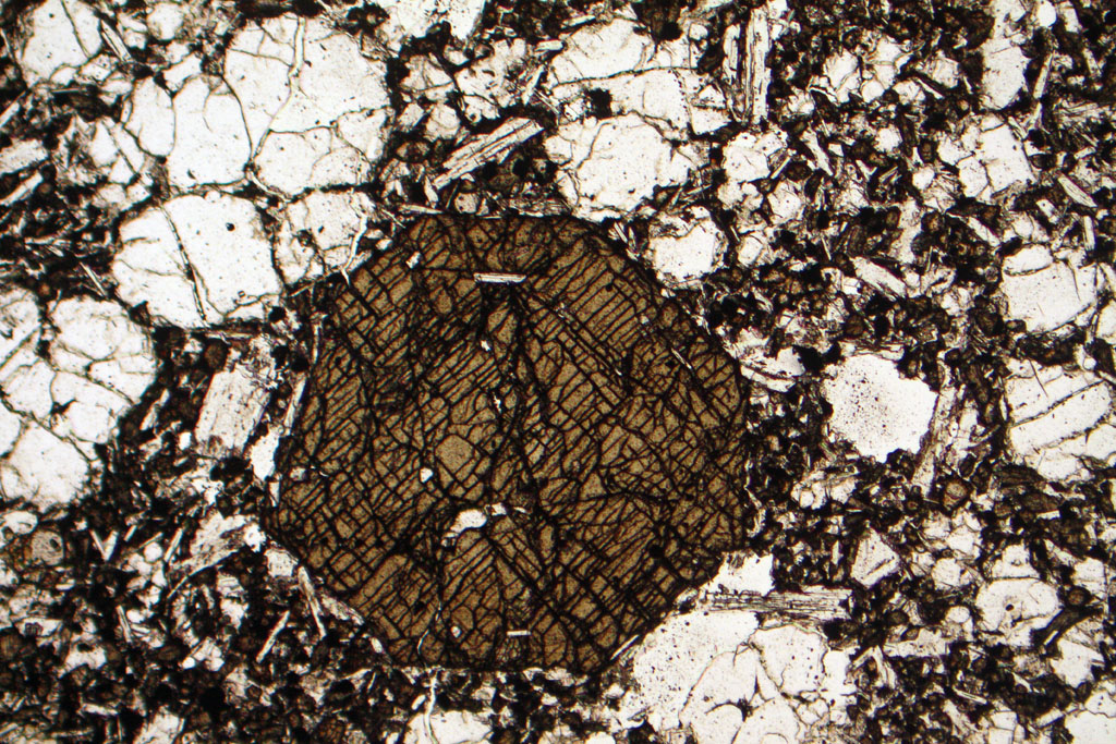 Tephrite Thin Section