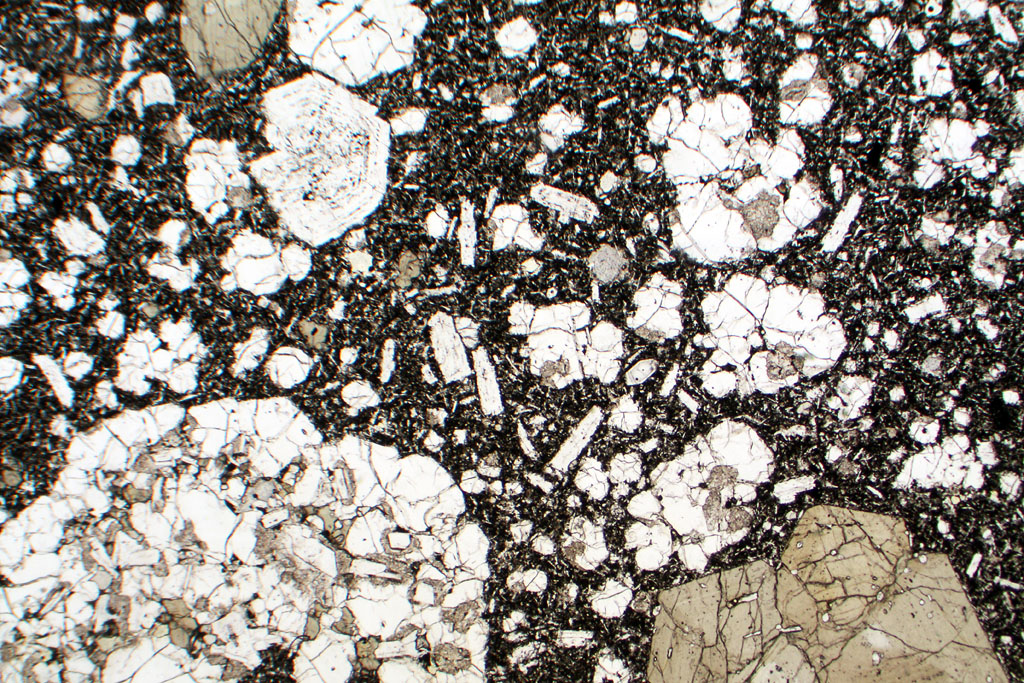 Tephrite Thin Section