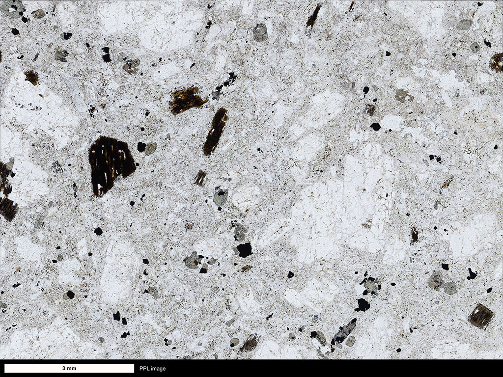 trachyte Thin Section