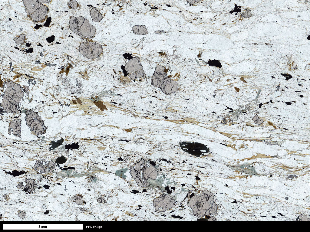 Schist Thin Section