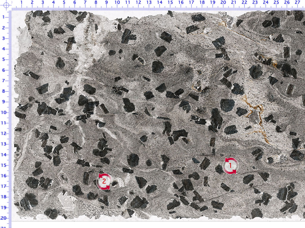 Phyllite Thin Section