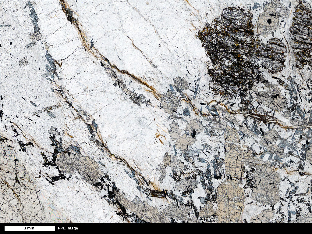 Schist Thin Section