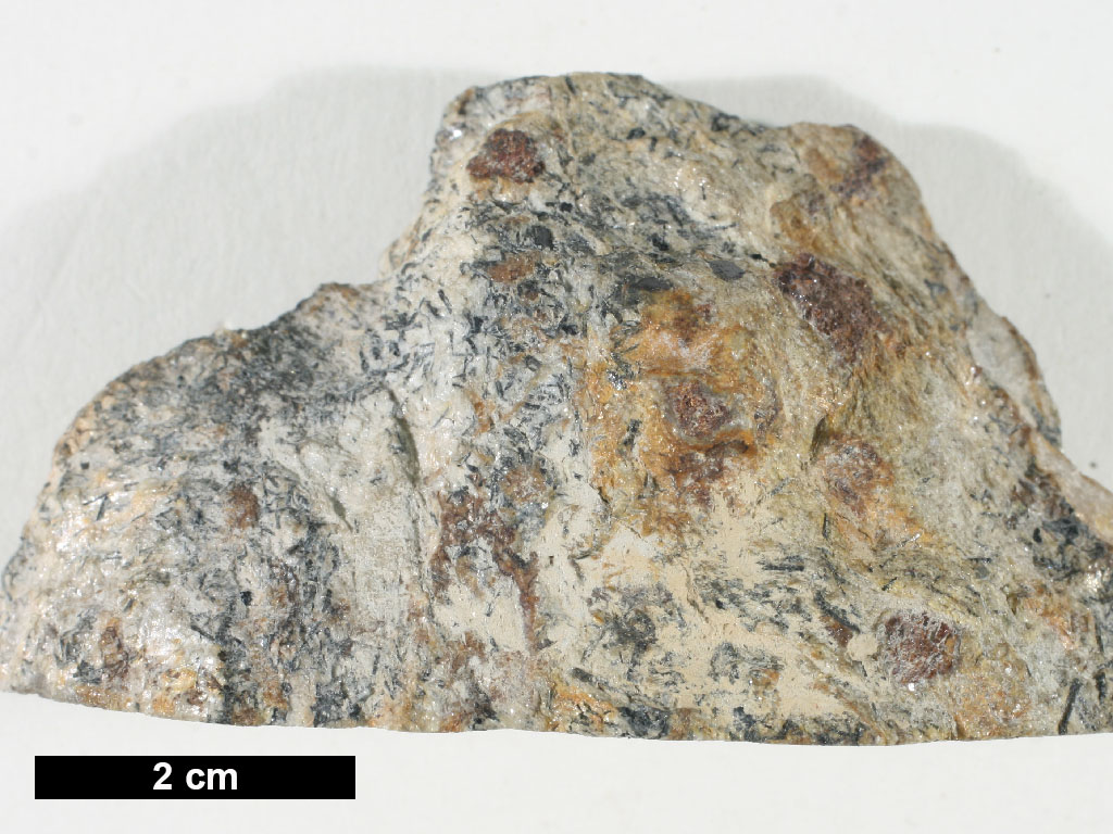 Schist Hand Sample