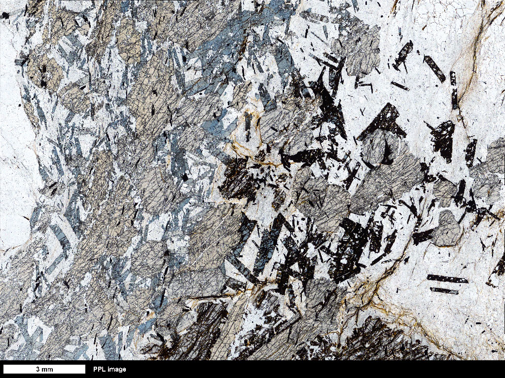 Schist Thin Section