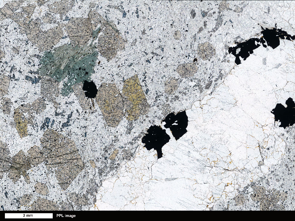 Schist Thin Section