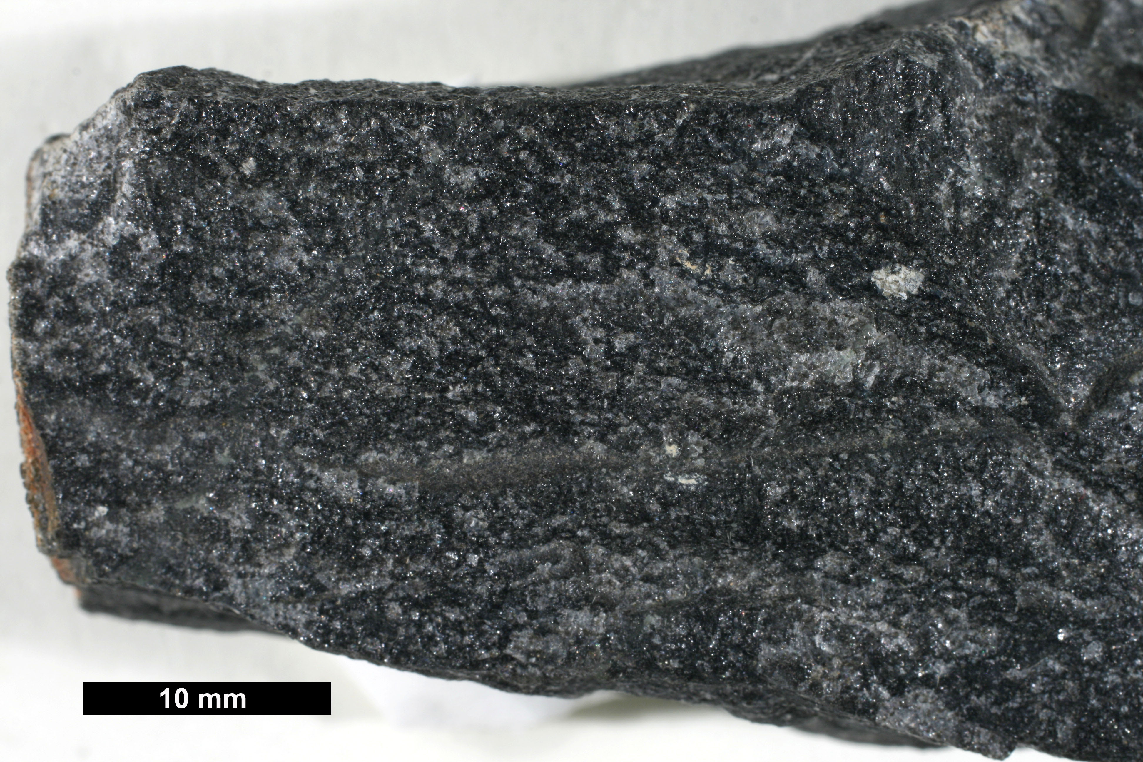 Schist Hand Sample