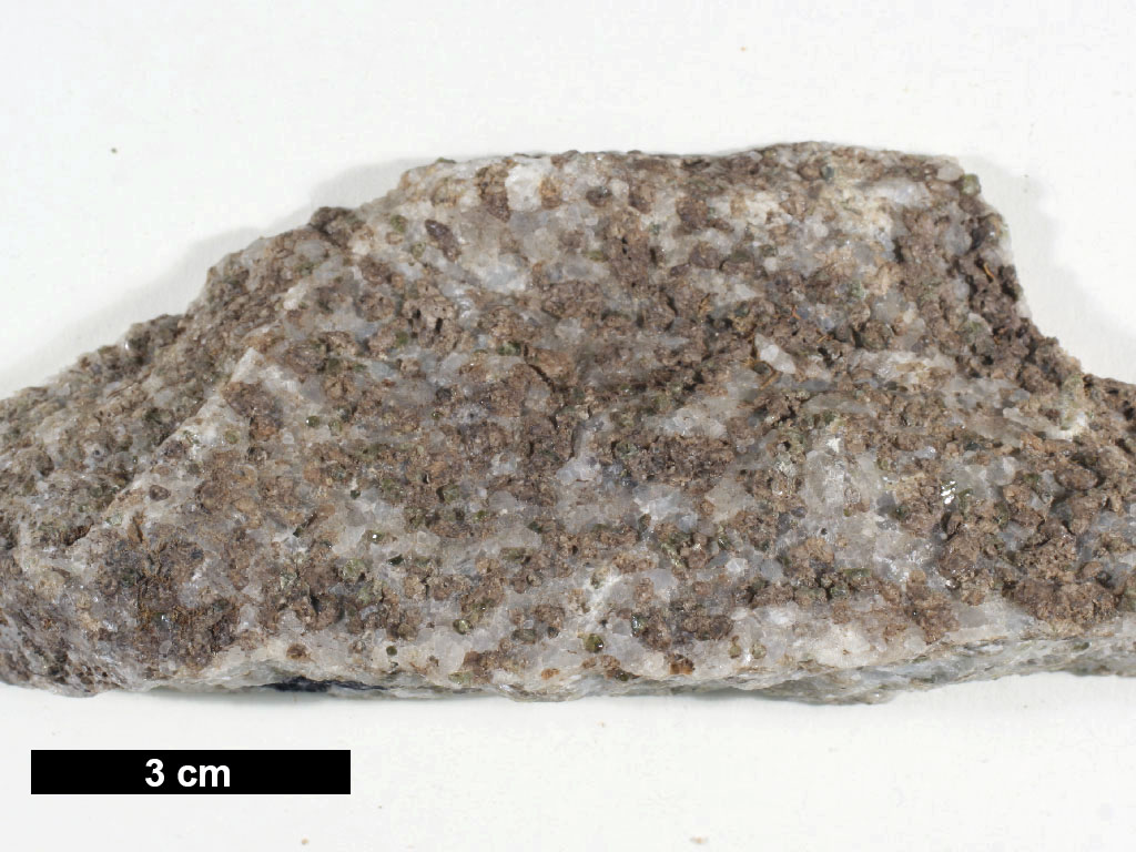 Schist Hand Sample