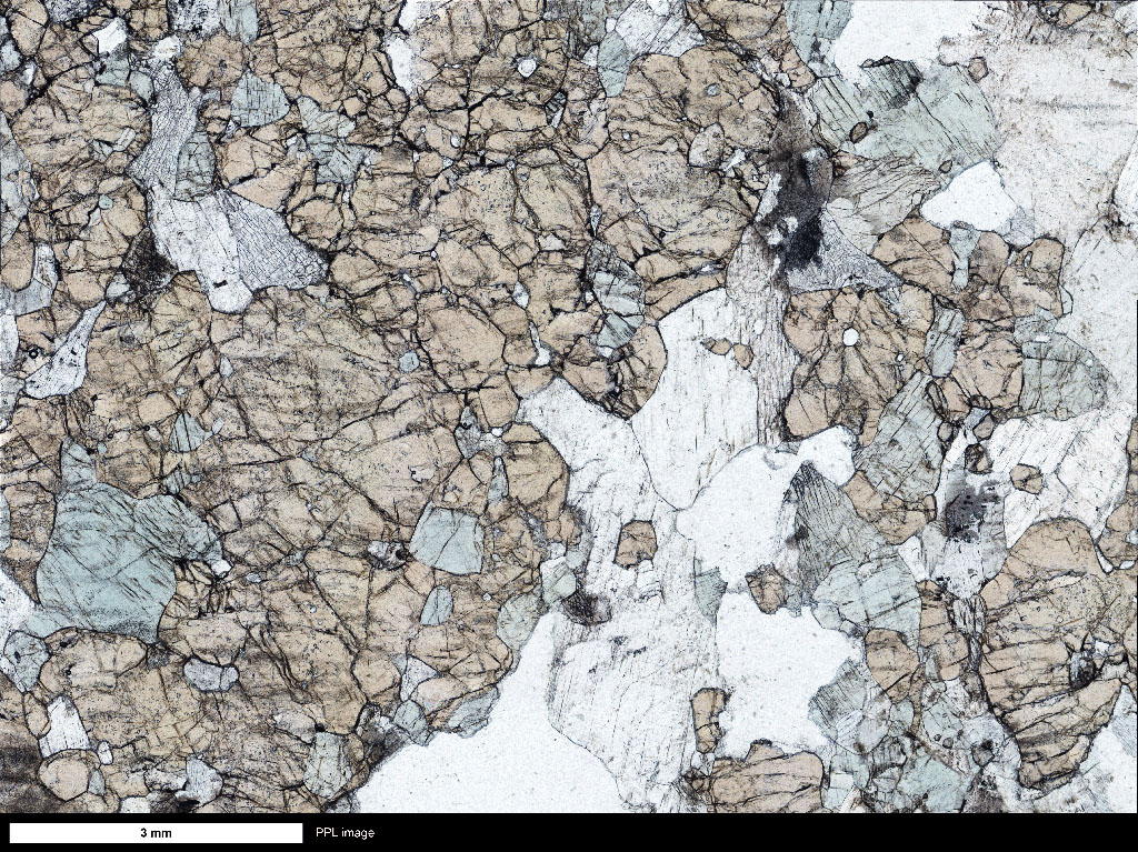 Schist Thin Section