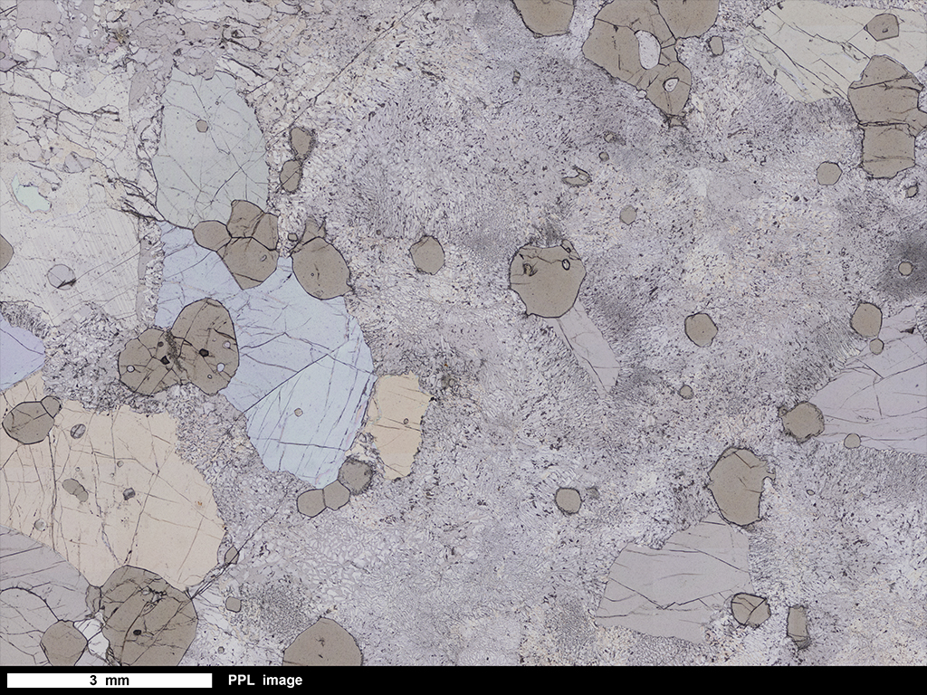 Schist Thin Section