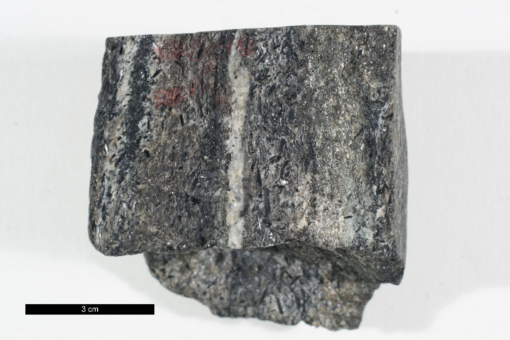 Amphibolite Hand Sample