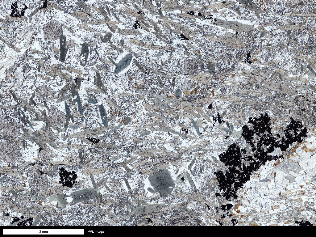 Phyllite Thin Section