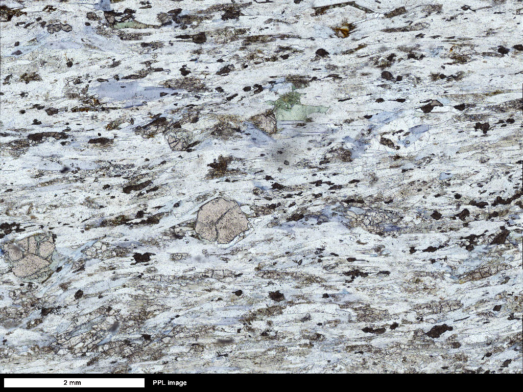 GlnSchist Thin Section