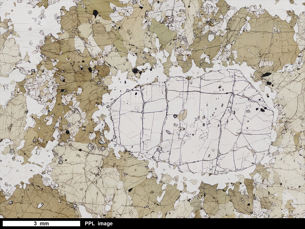 Phyllite Thin Section