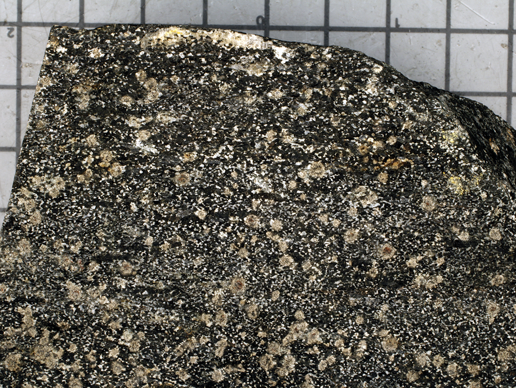 Amphibolite Hand Sample