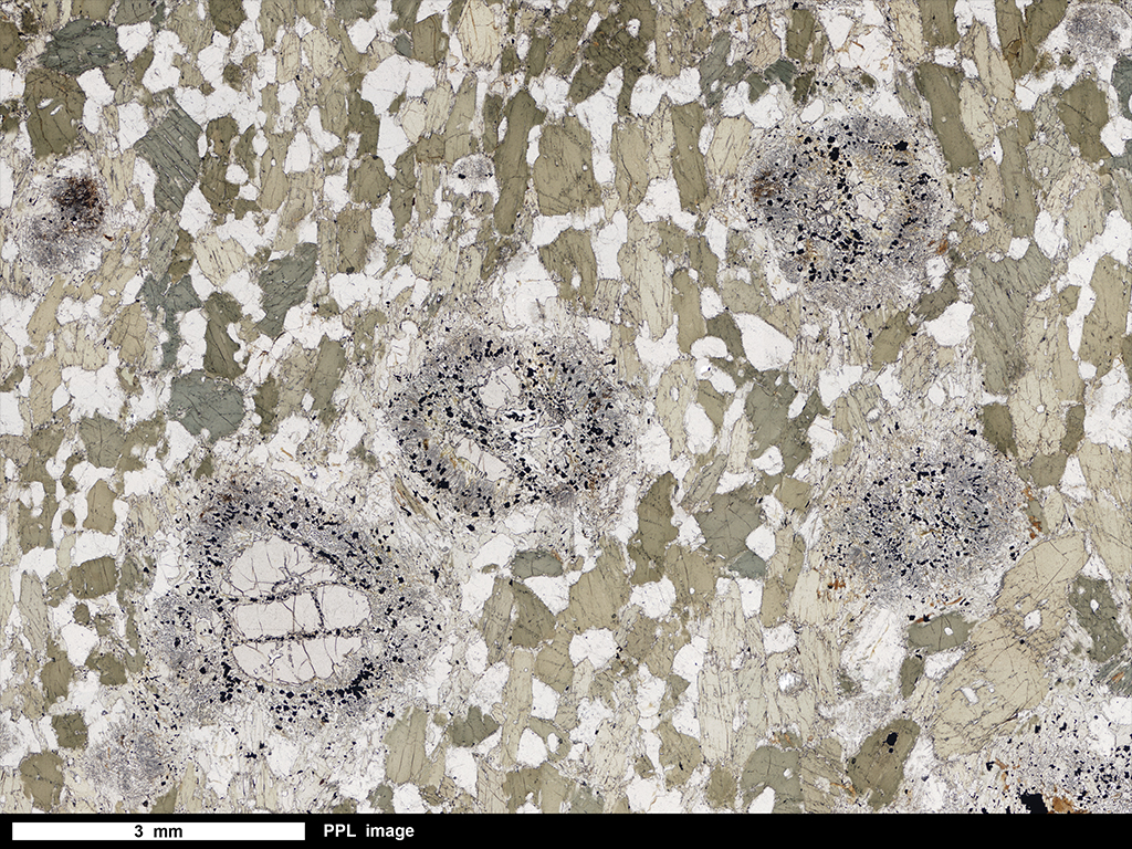 Phyllite Thin Section