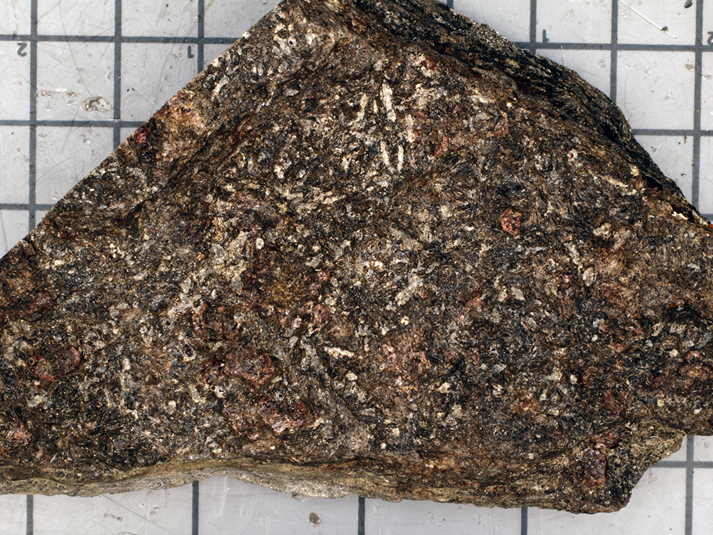 Gneiss Hand Sample