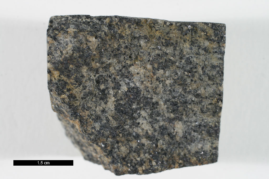 Gneiss Hand Sample