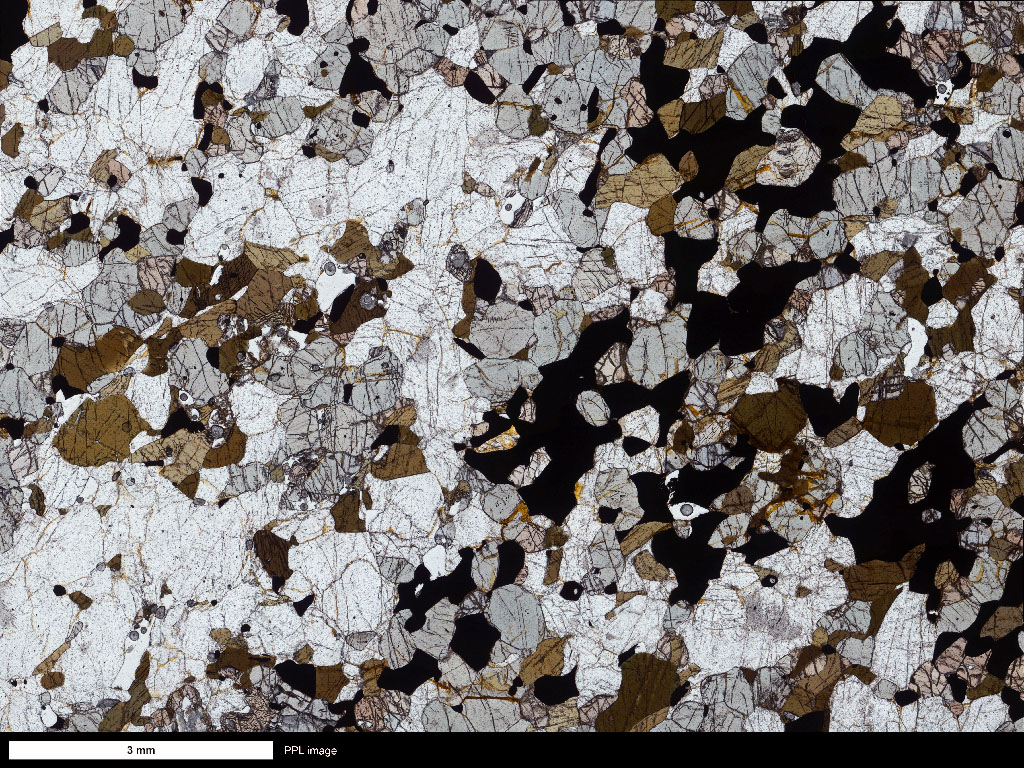 Gneiss Thin Section