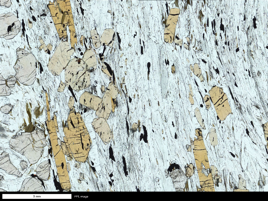 Schist Thin Section