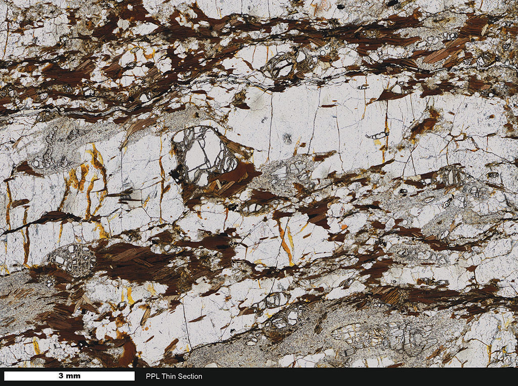 Schist Thin Section