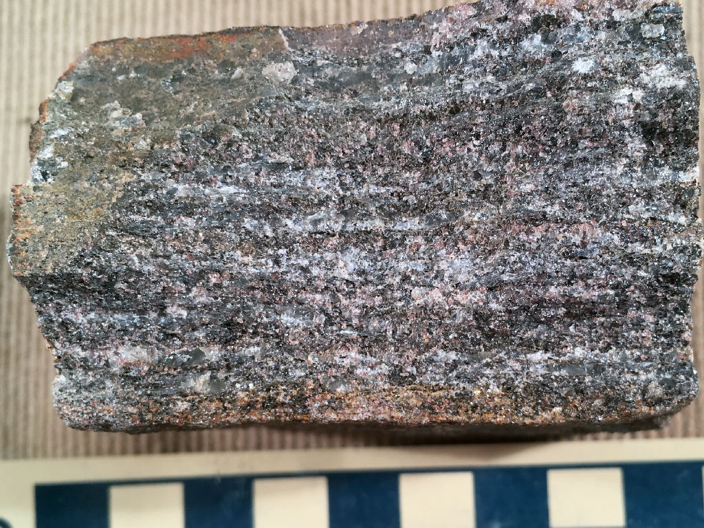 Schist Hand Sample