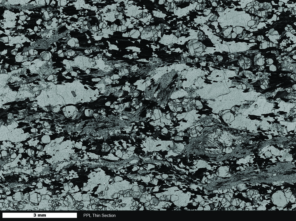 Schist Thin Section