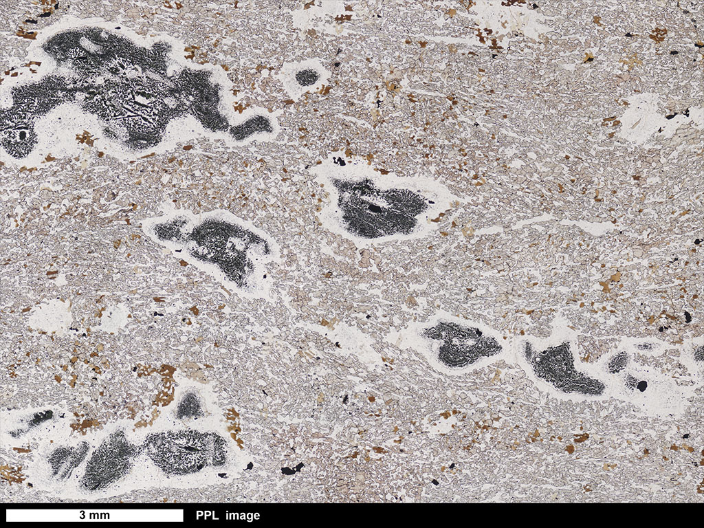 Gneiss Thin Section 