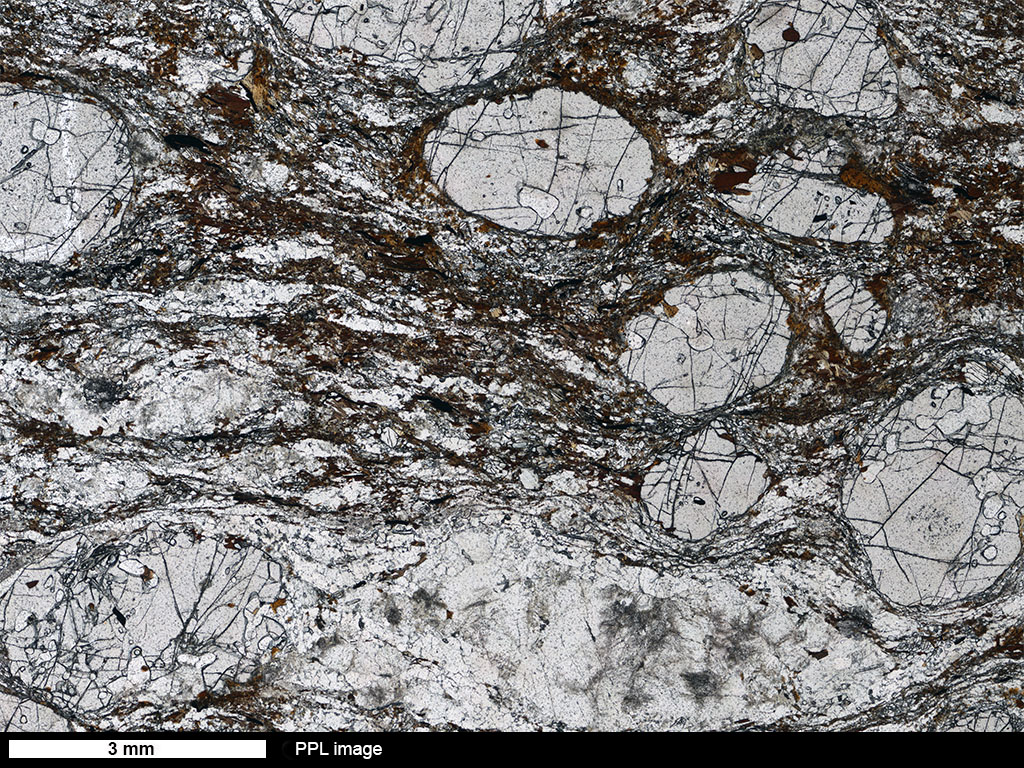 Schist Thin Section