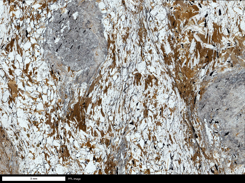 Schist Thin Section