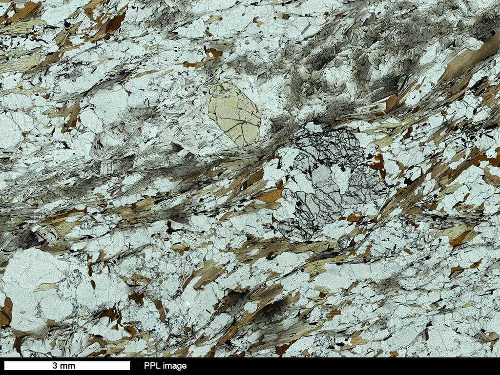 StGrtBtSchist Thin Section