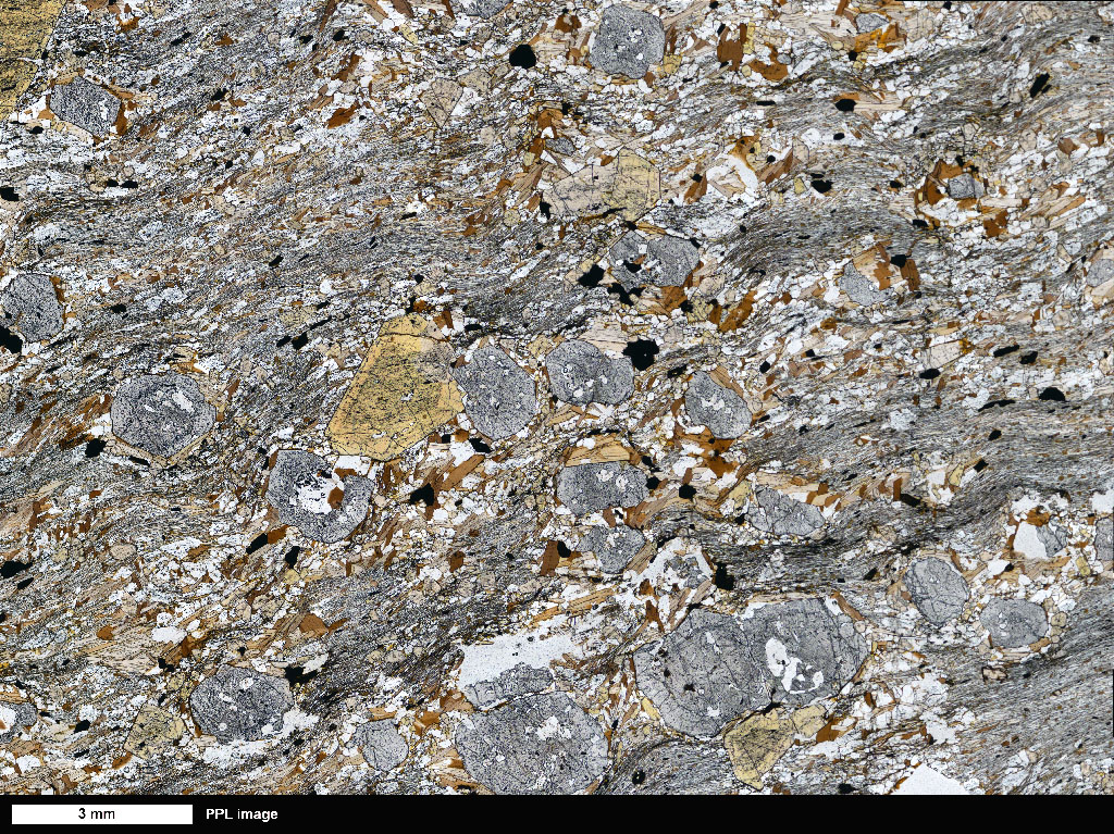 StGrtBtSchist Thin Section