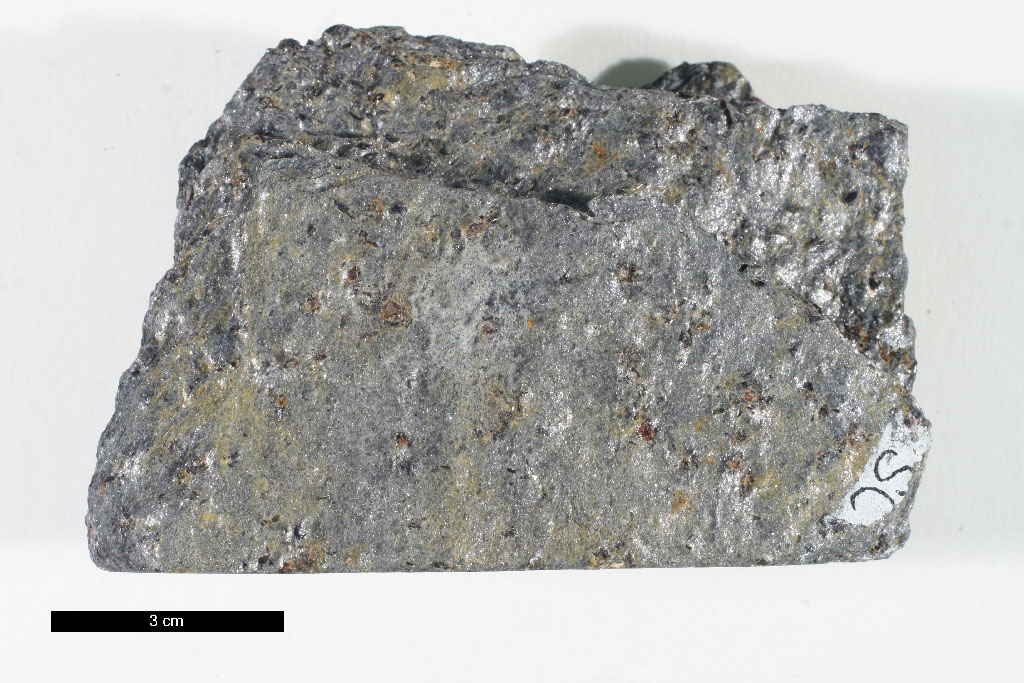 StGrtBtSchist Hand Sample