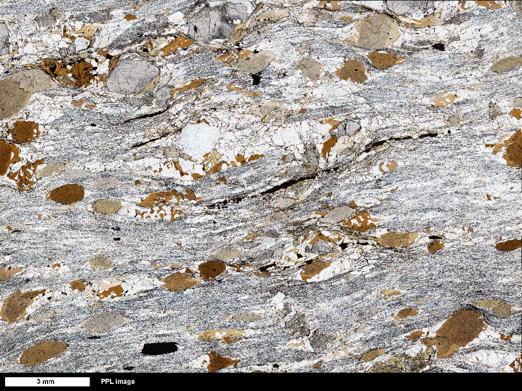 StGrtBtSchist Thin Section