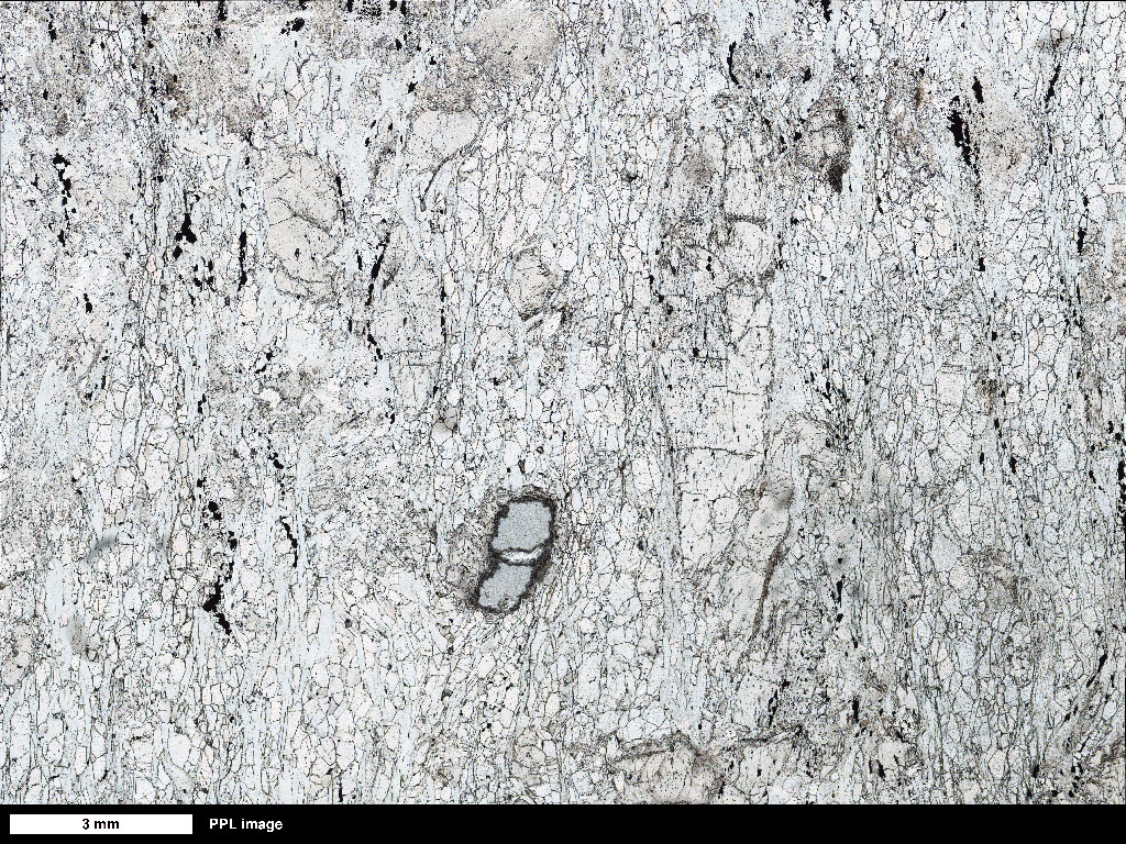 cmSerpentinite Thin Section