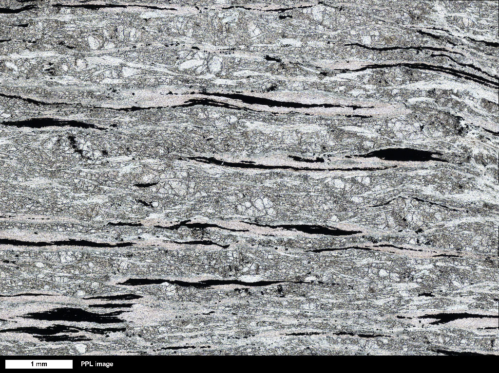 cmSerpentinite Thin Section