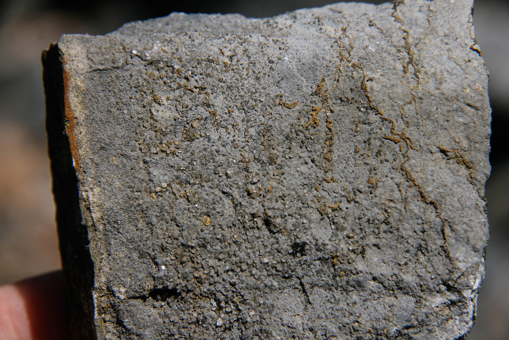 Limstone with dispersed Qtz clasts