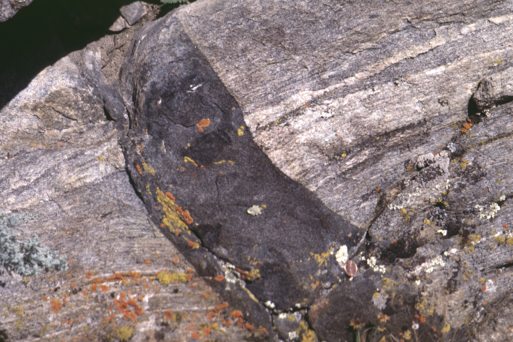 Mafic Dike cross-cutting fold