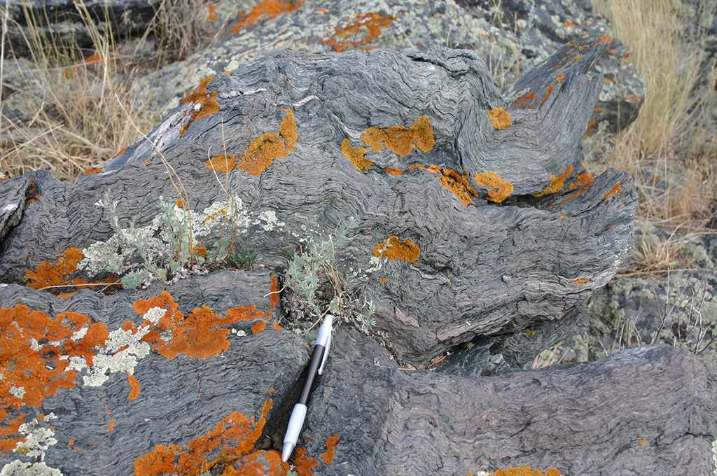 Folded Schist