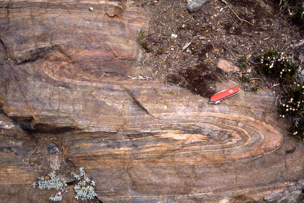 Folded Coticule Gneiss