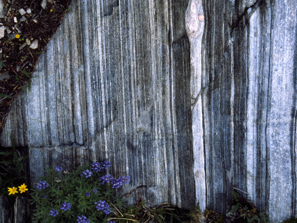 Gneiss Outcrop Photo