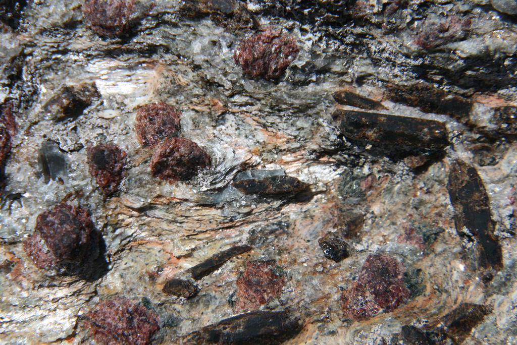 
						Euhedral Staurolite crystals in schist