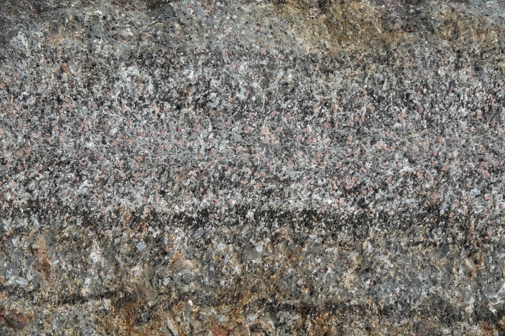 Many small garnet crystals in schist